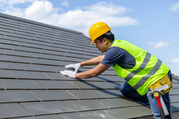 Best Roof Insulation Installation  in Temple Terrace, FL