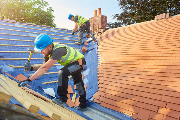 Best Solar Panel Roofing Installation  in Temple Terrace, FL